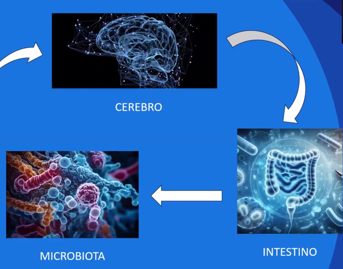 CONOCES CUAL ES TU SEGUNDO CEREBRO AYL TV