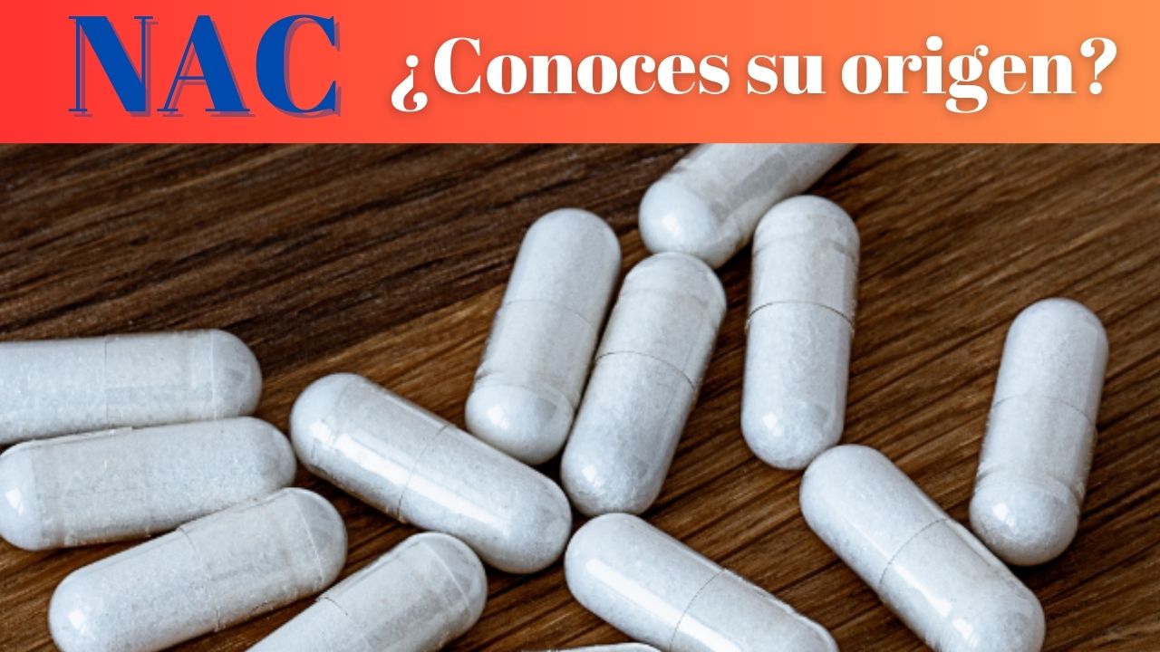 N.A.C ¿Conoces su origen? – AYL.TV