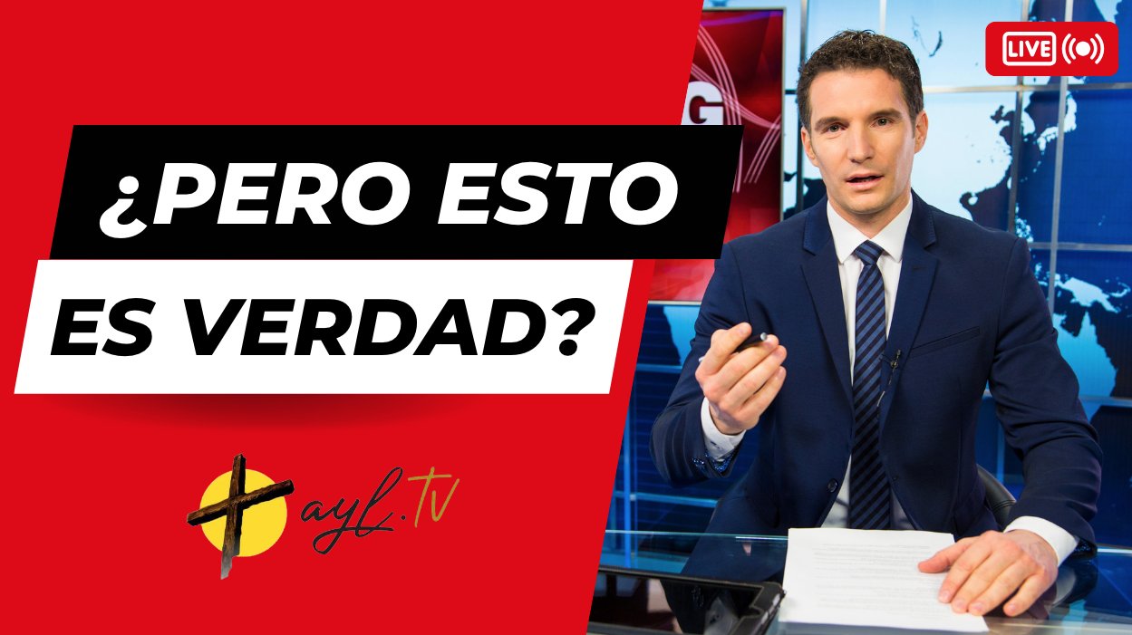 A Y L Tv